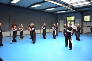 hunggarnancy-artsmartiaux-wushu-kungfu-ericbourbonnais-18juin2016-36    